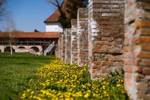 Cetatea medievala Targu Mures