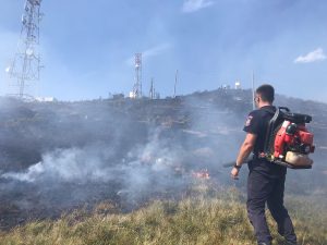 incendiu vegetatie Muntele Găina