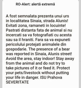 prezenta urs alerta extrema