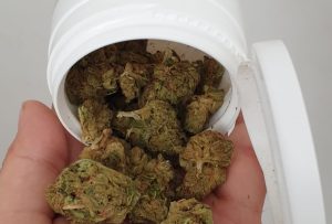 canabis medicinal