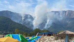 incendiu padure potamia grecia thassos5