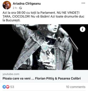 postare ariadna cirligeanu
