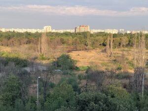 incendiu IOR 29.08.2023
