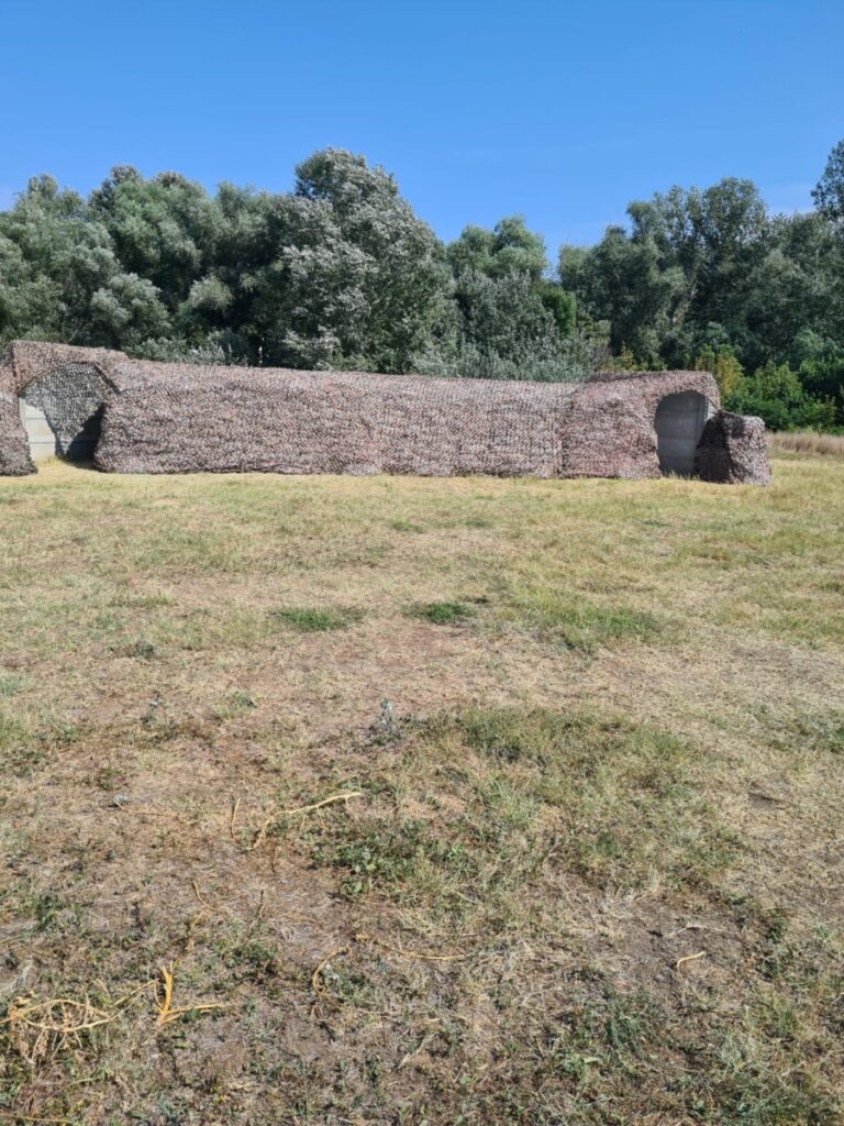 adapost plauru
