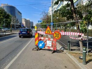 lucrari stefan cel mare, lucrari, bucuresti