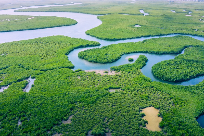 Cu un acord lipsit de ambiție, summitul COP30 salvează multilateralismul, dar neglijează urgența climatică