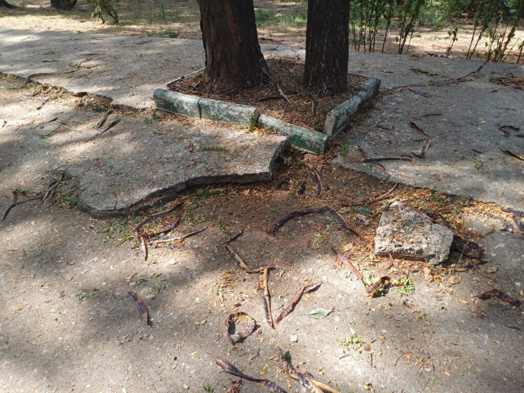 parc Bucuresti