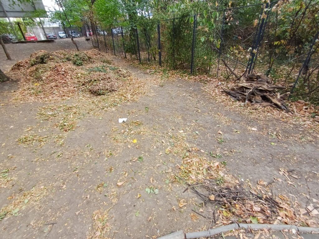parc Bucuresti