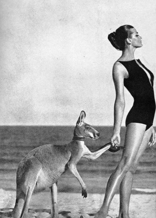 Helmut Newton fotografii