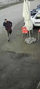 catei caini pui abandonati brasov