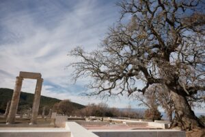 palatul aigai, istorie, cultura, grecia, alexandru cel mare, edificiu, monument