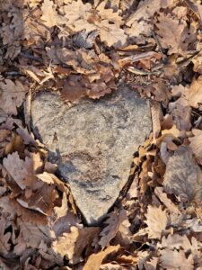 muntii macin rezervatie naturala parcul muntii macin varful tutuiatu roci stanci munti hercinici padure expeditie drumetie vacanta concediu turisti tulcea greci (1)