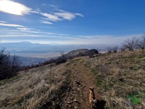 muntii macin rezervatie naturala parcul muntii macin varful tutuiatu roci stanci munti hercinici padure expeditie drumetie vacanta concediu turisti tulcea greci (1)