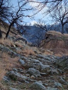 muntii macin rezervatie naturala parcul muntii macin varful tutuiatu roci stanci munti hercinici padure expeditie drumetie vacanta concediu turisti tulcea greci (1)