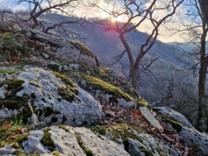 muntii macin rezervatie naturala parcul muntii macin varful tutuiatu roci stanci munti hercinici padure expeditie drumetie vacanta concediu turisti tulcea greci (1)