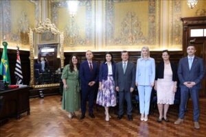 alina gorghiu alina corbu alex florenta justitie brazilia tribunal delegatie