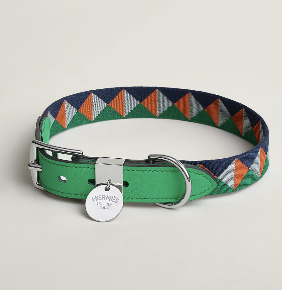 moda, moda pentru caini, accesorii pentru caini 