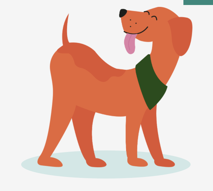 pets, animale de companie, motive pentru care te iubeste cainiele, caini