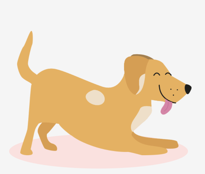 pets, animale de companie, motive pentru care te iubeste cainiele, caini