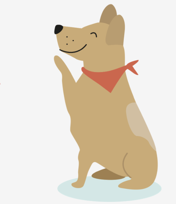 pets, animale de companie, motive pentru care te iubeste cainiele, caini