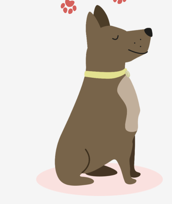 pets, animale de companie, motive pentru care te iubeste cainiele, caini