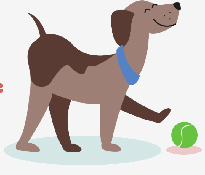 pets, animale de companie, motive pentru care te iubeste cainiele, caini