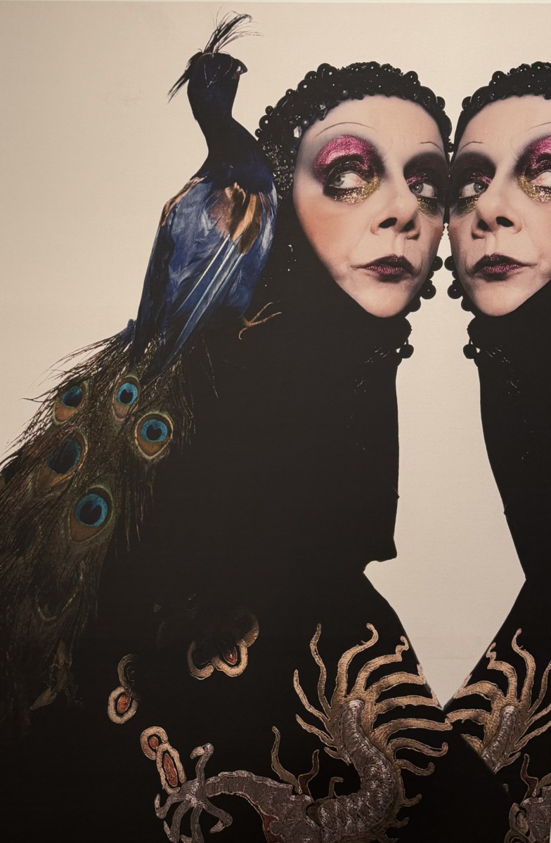 ovidiu buta, doina levintza, 44 women exhibition, expozitie, moda 