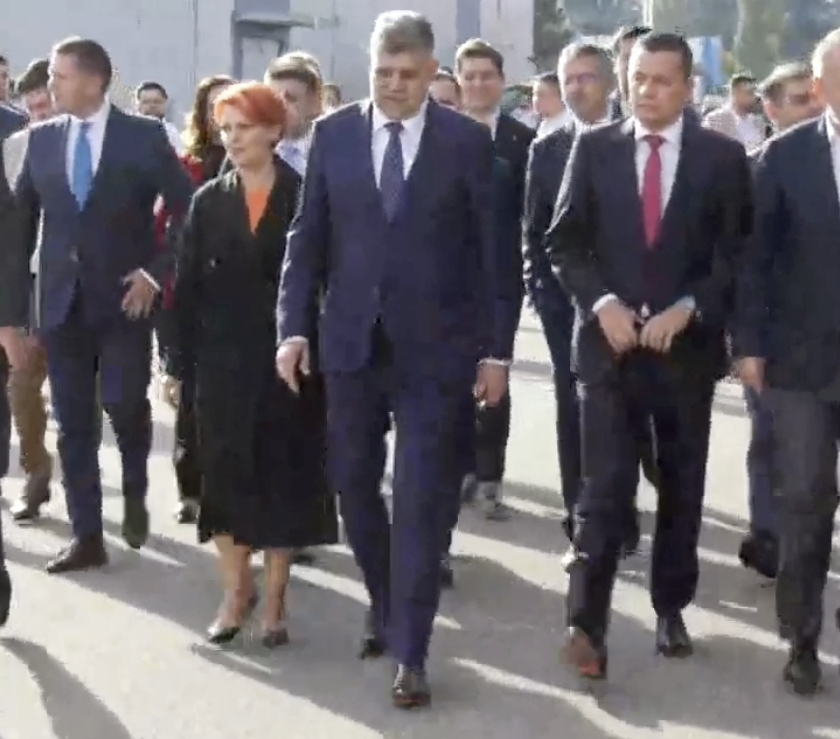 ciolacu, grindeanu, pantofi, psd, candidatura, louboutin