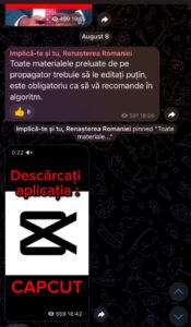 calin georgescu telegram