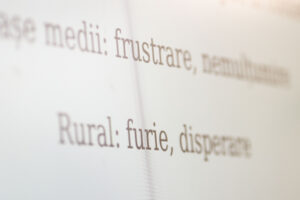 frustrare nemultumire revolta