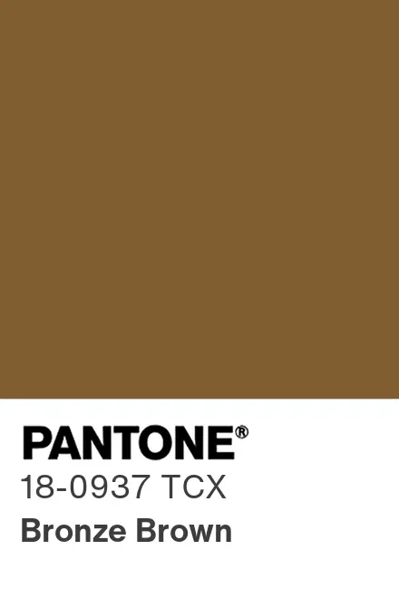 bronze brown pantone