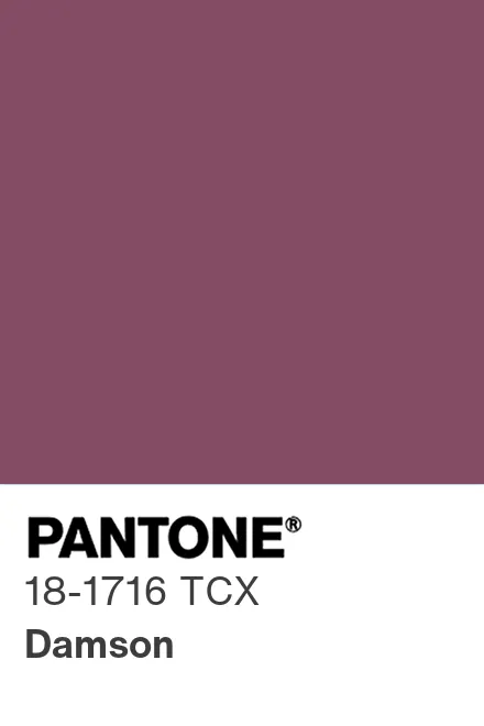 damson pantone