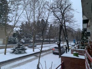 zapada bulevardul primaverii, masini