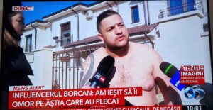 alin borcan perchezitii timis 