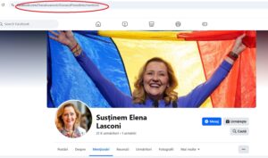 diana sosoaca elena lasconi facebook2
