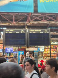 aglomeratie gara de nord, probleme sistem informatii, calatori, cfr