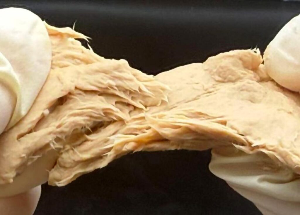 Ciuperci superproteice cu gust și consistență de carne, obtinute de o echipă de cercetători din China prin eliminarea a două gene și conținut redus de energie și nutrienți