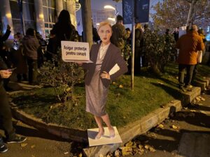 lia savonea, protest inalta curte, iccj, curtea suprema