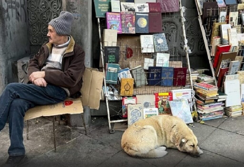 Singurul oraș din lume unde câinii vagabonzi trăiesc regește. Cum a reușit să integreze mii de maidanezi în piesajul urban / Locuitorii nu se tem de ei, turiștii rămân mască